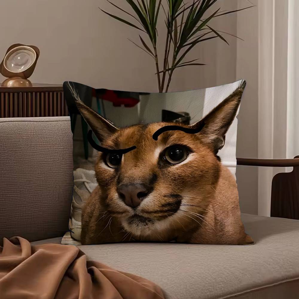 

Подушка-мем з котом Флоппа Наволочка Захист від пилових кліщів Наволочка на блискавці-невидимці Шовковистий короткий плюш Чохол на подушку для дивана 30cmx30cm