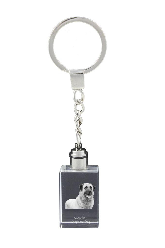 Anatolian Shepherd Dog, Turkish Kangal Dog - Crystal Key Ring with Dog Photo, Illuminated Key Ring, Unique Gift by Art-Dog Brand