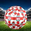 Liverpool F.C. Aufdruck Größe 5 Fußball, PU Verschleißfester Fußball für Spieltraining und tägliches Üben, Geburtstagsgeschenk für Fußballfans