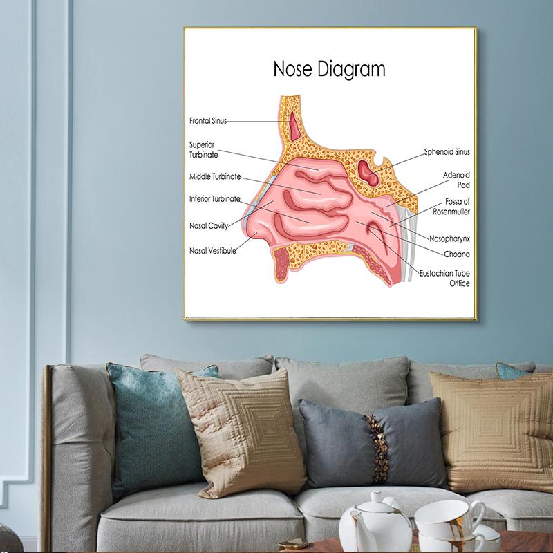 Human Organs Brain Liver Heart Anatomy Poster Print Canvas Painting Human Body Map Medical Classroom Office Room Home Decoration