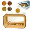 Transparent Wooden Money Box Large Capacity Piggy Bank Coin Cash Container