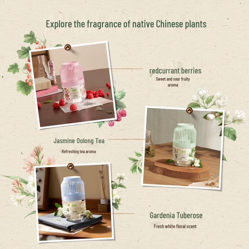 Air Funk Indoor Air Freshener & Deodorizer