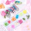 Mix Dried Flowers Nail Decorations Jewelry Natural Floral Leaf Stickers 3D Nail Art Designs Polish