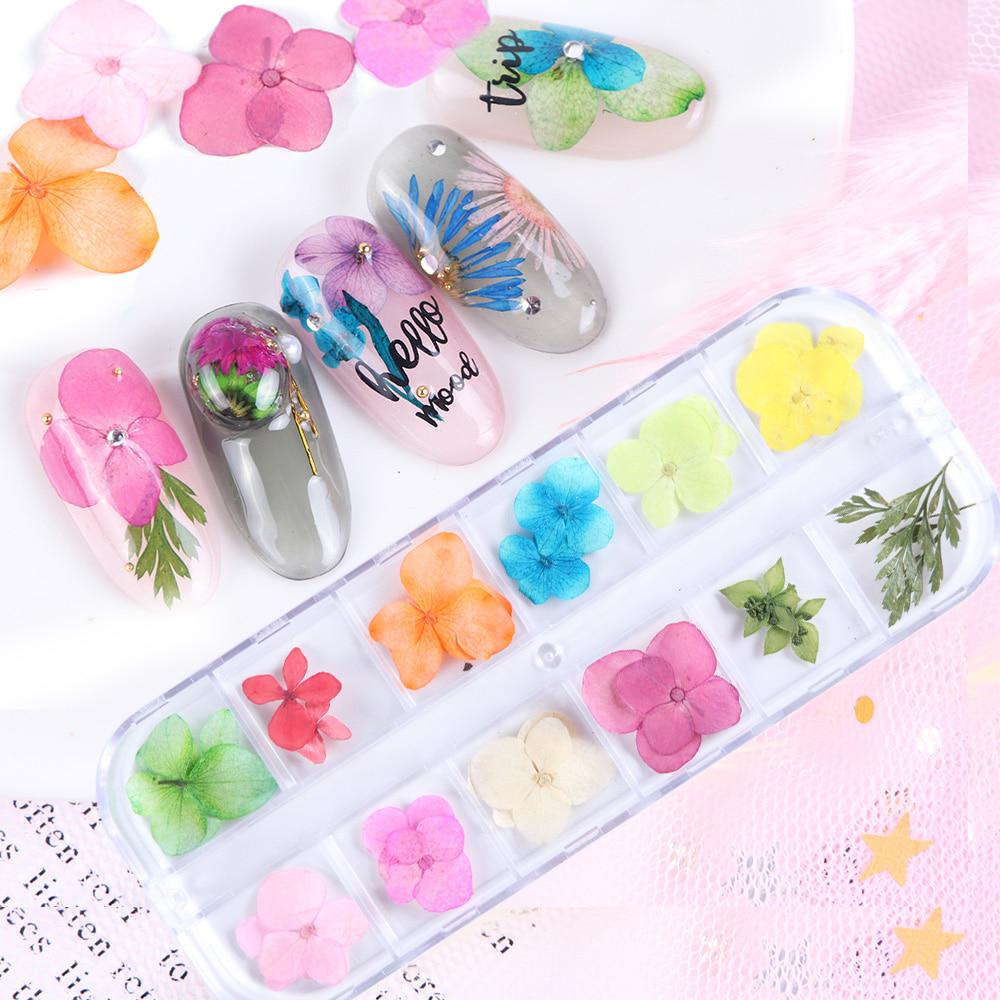 Mix Dried Flowers Nail Decorations Jewelry Natural Floral Leaf Stickers 3D Nail Art Designs Polish