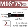 8.8 High-Strength Socket Head Cap Screw Bolt (M4-M20)