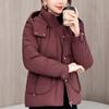 Fashion Winter Jackets Woman Parkas Hooded Thick Warm Casual Women's Short Coats