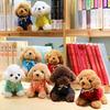20cm Plush Toy Poodle with Detachable Hoodie, Sitting Position, Fluffy, Puppy, Body Pillow, Teddy Bear Dog, Teddy Poodle, Plush Toy, PP Cotton