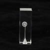 Root Canal Exercise Block Acrylic Transparent Clear Display Curved Oral Endodontic Root Model