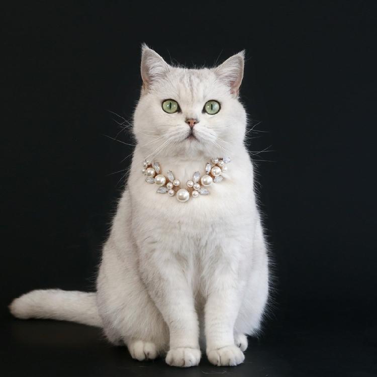 Katzen Hochzeits Halsband mit Kristallen besetzt Haustier Perlen Halsbänder Hochzeits Foto Requisiten