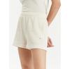 Champion E10012 Sports Shorts