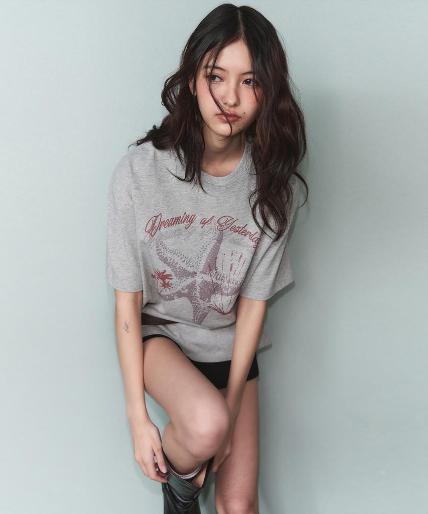 Ledeoli Ocean Haze Oversized Short Sleeve T-Shirt [Melange]