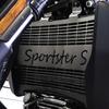 Stablize Motorcycle Radiator Grille Grill Protective Head Light Lamp Guard Protector Cover For Sportster S 1250 RH1250S 2021 202