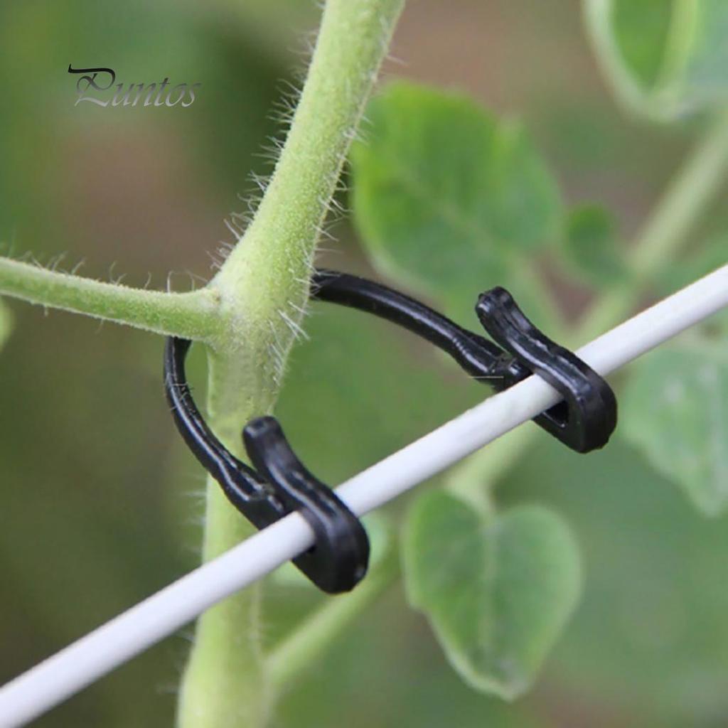 40pcs Reusable Garden Plastic Plant Clips Tree Flower Support Ties Tomato Tools