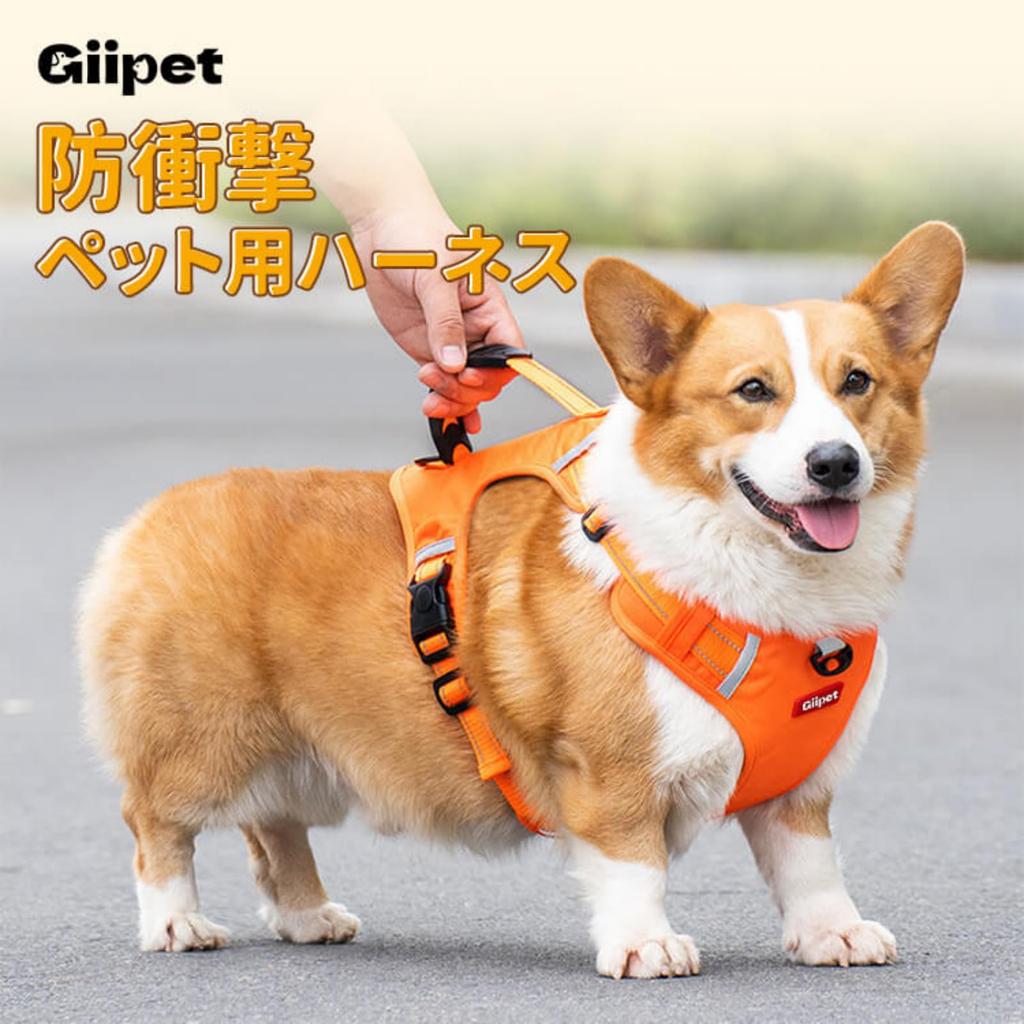 GIIPET Dog Harness with Suitable for Soft Dog Come Easy To Put On and Take Adjustable Reflective Collar For Walking Walking S - Lead, 2-45kg, Harness,