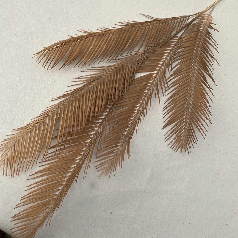 Texture Foliage Fern For Indoor Decoration Wedding Photography Props Gift