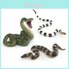 Modèle de Simulation de Serpent Corail Sauvage Pythonsimulation PVC Décoration Pour L'apprentissage Des Enfants Et Cadeau