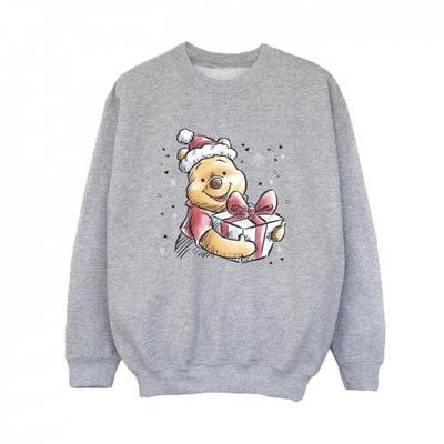 Överdelar (Pojkar från 4 år) – Luvtröjor, tröjor och sweatshirts