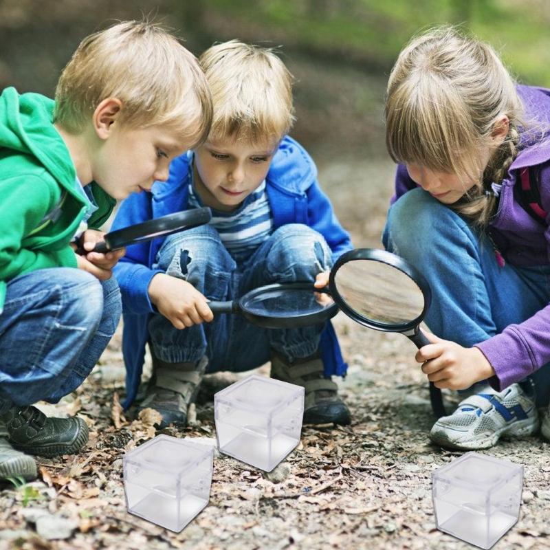 6 szt. Przezroczyste Pudełka-Lupy na Owady Dla Dzieci Eksploracja Natury Kwadratowy Wzór z Soczewką Obserwacyjną Przybory do Klasy Naukowej