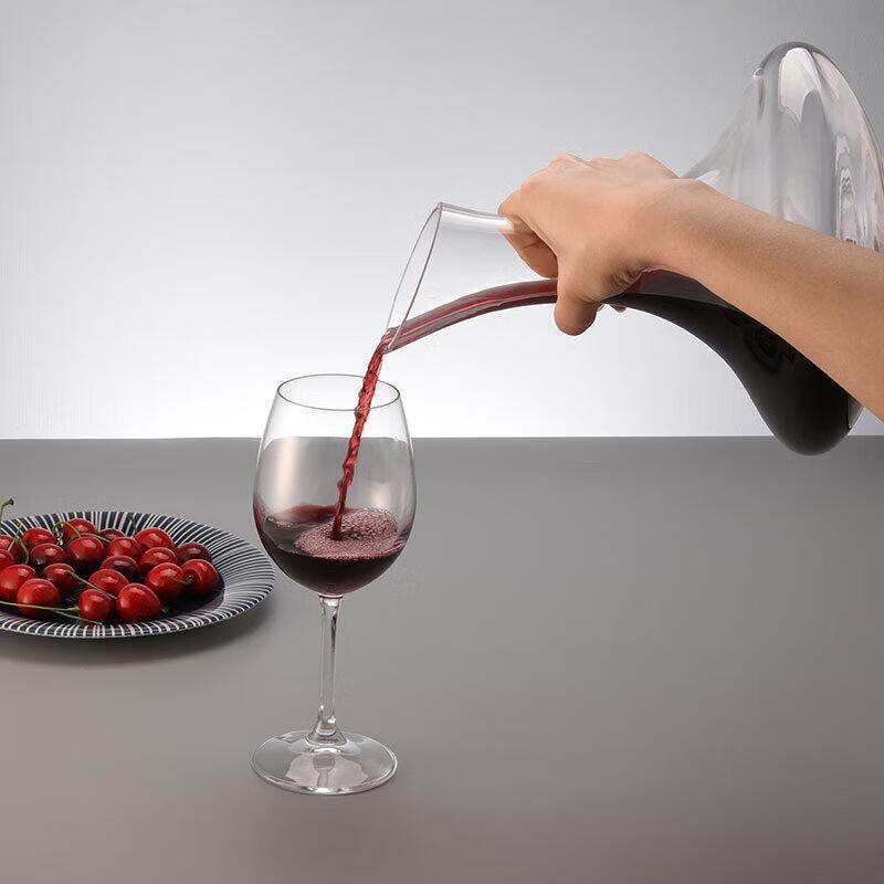 ZETAI Wine Decanter