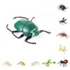 Realistisches Insektenmodell-Set Für Kinder Pädagogisches Und Sammlerstück Spielzeugsammlung
