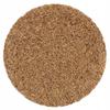 Kmin Rzymski Ziarno - 100g