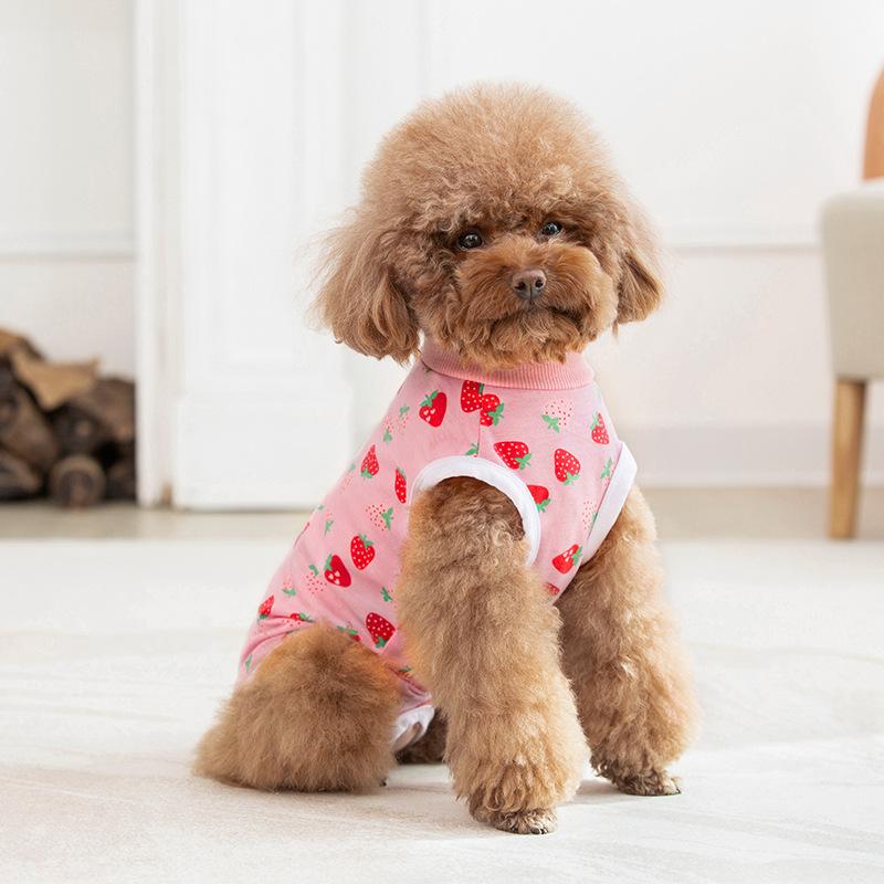 Sottoveste sottile per animali domestici primavera ed estate per prevenire il freddo sulla pancia dell'animale domestico Teddy Bichon cane femmina chirurgia sterilizzazione svezzamento vestiti
