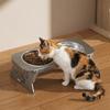 Foldable Raised Pet Feeder Removable Anti-flip Dog Double Bowl Water Food Bowl Non-slip Elevated Cat Bowl Healthy Feeding