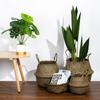 Seagrass Storage Baskets Large Folding Rattan Belly Basket Laundry Toys Organizer Container Garden Flower Plant Basket