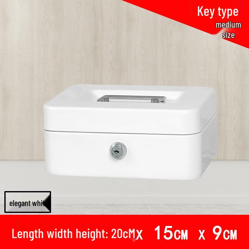 Portable Thickened Metal Cash Box with Lock and Password, Secure Storage Organizer