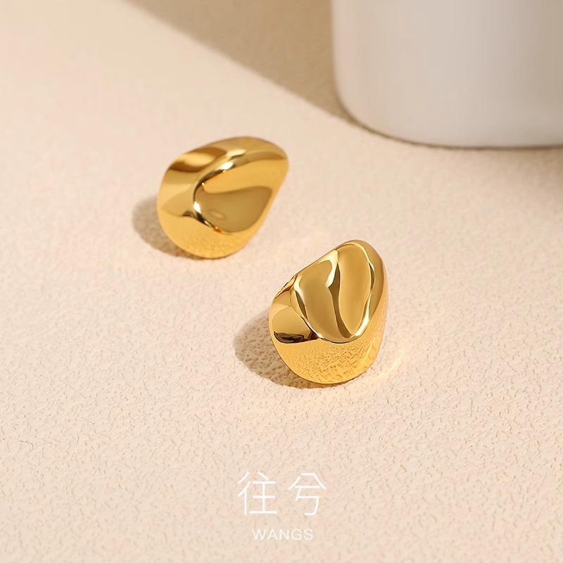 

WANGS French cold wind pleated earrings niche fashion light luxury high-end stud earrings autumn and winter gold silver золотой