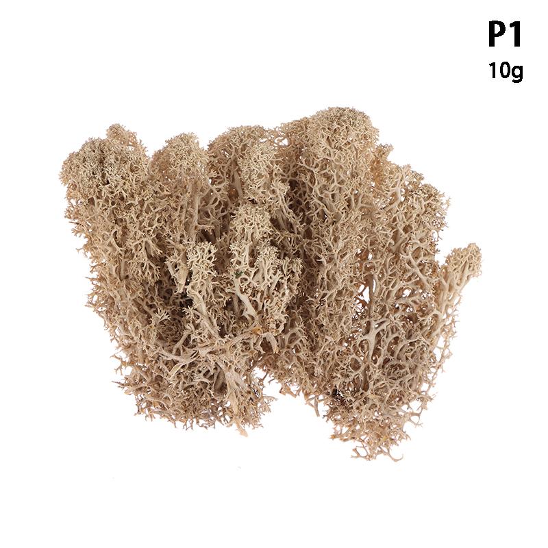 Colorful Natural Artificial Moss Plant DIY Dried Reindeer Moss Decor Resin Epoxy Filling Jewelry Garden Decorate Supplies