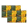 Dubore Freesia Moisture Soap 4 Pack X2