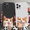 Cute Chubby Cat Pinch Cheek Cartoon Art Phone Case for iPhone 17 16 15 14 13 12 11 Series Pro Max Plus Double Layer Protection