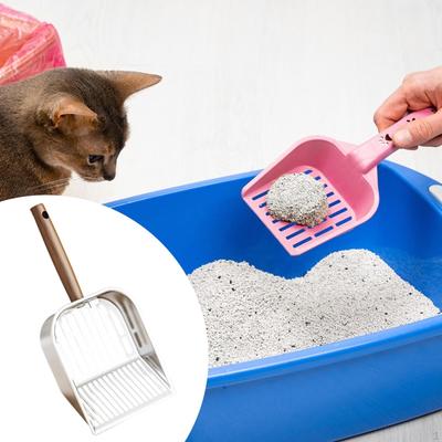 Katzen – Katzenpflege