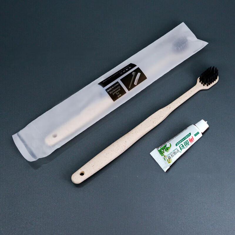Set Spazzolino da Denti e Dentifricio da Viaggio Monouso