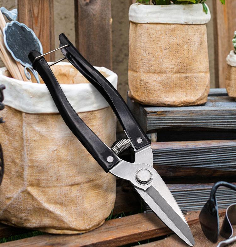 Straight Head Stainless Steel Household Gardening Flowers Branches Pruning Shear Fruit Picking Tools Garden Scissors with Spring