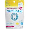 CAMUGAKI Toothpaste Tablets, 20 Tablets, Lemon Mint Powder