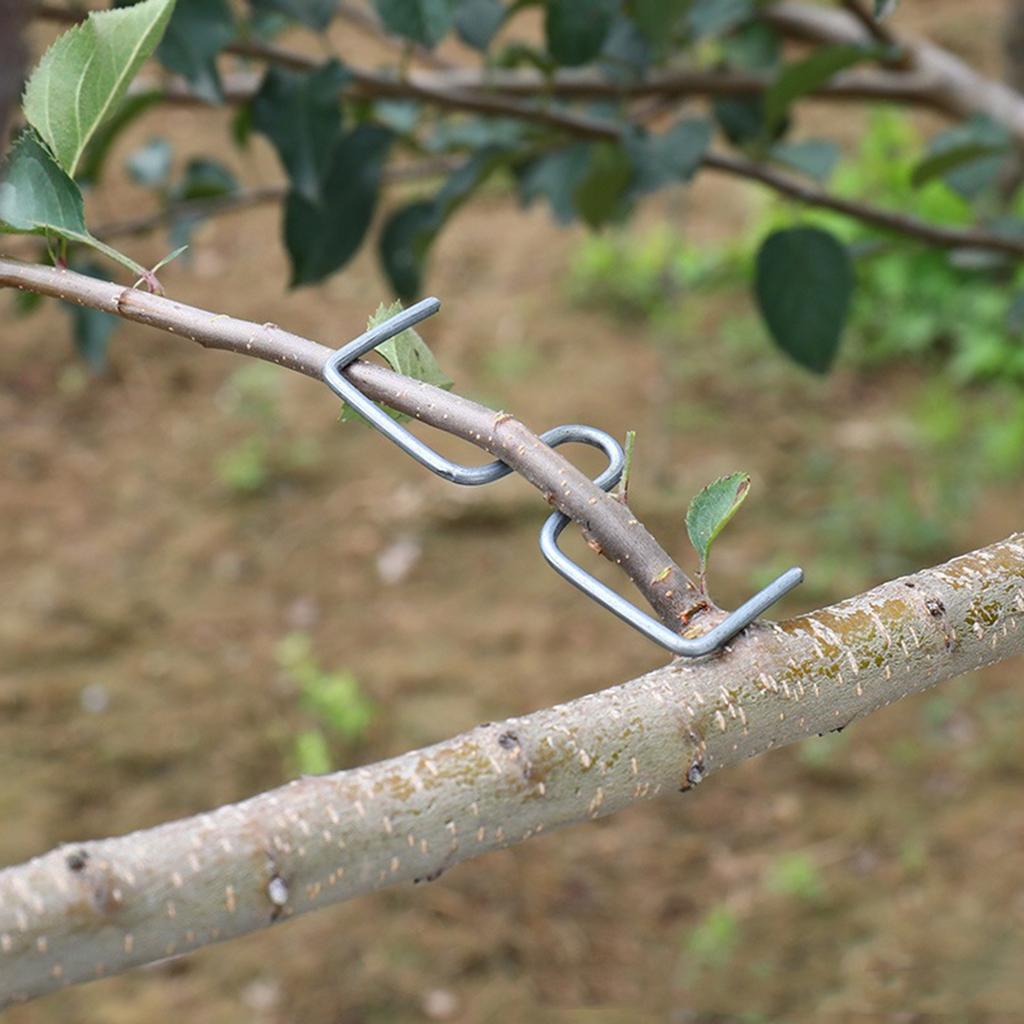 20/50/100Pcs Fruit Tree Branch Puller Tying Machine Farm Tool Plum Tree Open Angle Pull Branch Bending Tool Fruit Branch