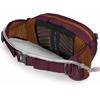 Rucksack Osprey Seral 4 aprium purple