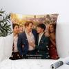 TV Series H-Heartstoppers Love Cute Cushion Cover Decorative Pillow Sofa Home Decor case pillow cases