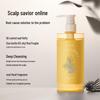 Japanese Style Silicone-Free Shampoo 2-Pack