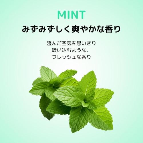 LUSH Cr?me De Menthe Mouthwash 45g / Mint Flavor / Zing! Zing Refresher Dirty Sparkle Tablets, Mint Green