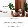 Kamidananosato Modern Shinto Mirror, Kasumikumo, Maple, 1.5 inches, Natural, Small
