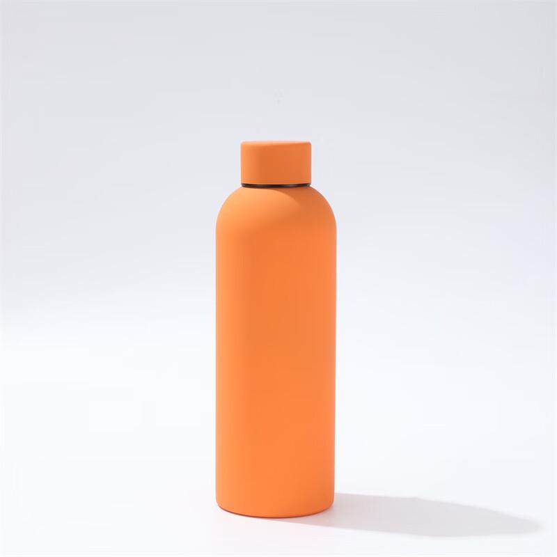 Portable Insulated Stainless Steel Bottle
