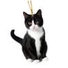 Black Cat Rearview Mirror Pendant Hanging Ornament for Car Interior Decoration Adds Warmth & Personality To Any Vehicle