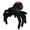 Junior Spider Plush 30 Cm In Black Plush - Wild Republic - Plush - Child - 4 Years