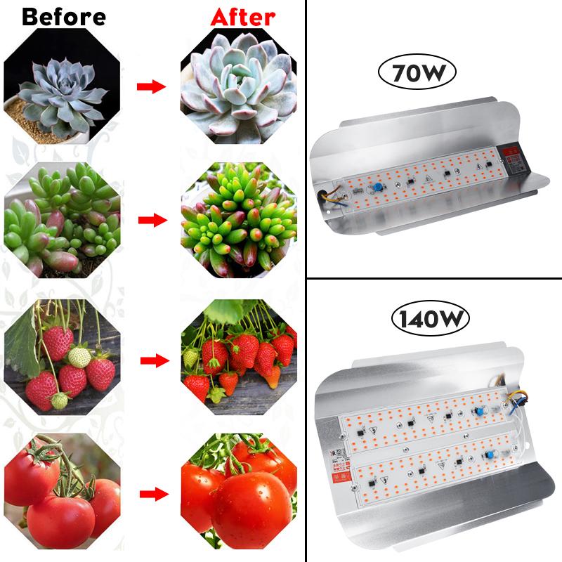 70/140W Full Spectrum LED Plant Grow Flood Light Outdoor Spotlight For