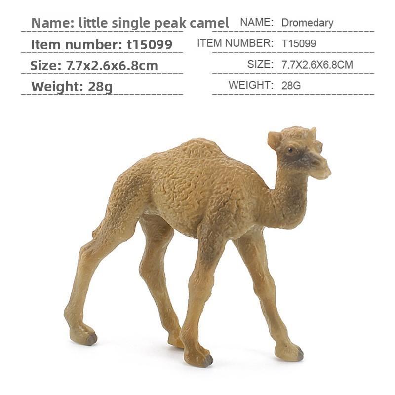 Wildlife Pvc Model Collection With Realistic Desert Camels For Classroom Decor