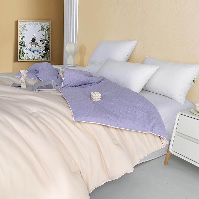 PAUL FRANK Lavender Serene All-Season Comforter