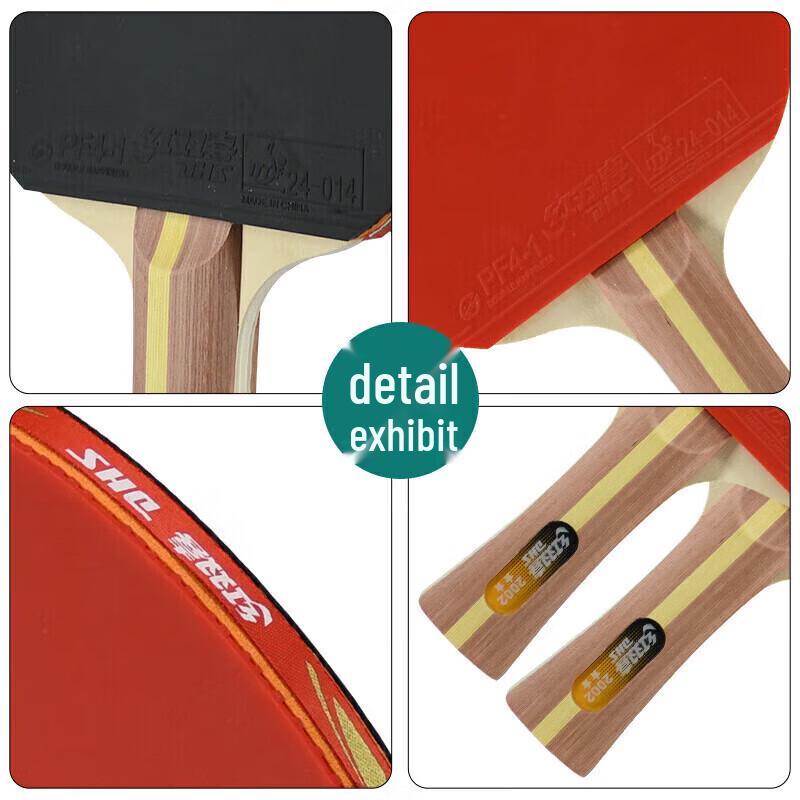 DHS H2002 2-Star Table Tennis Racket